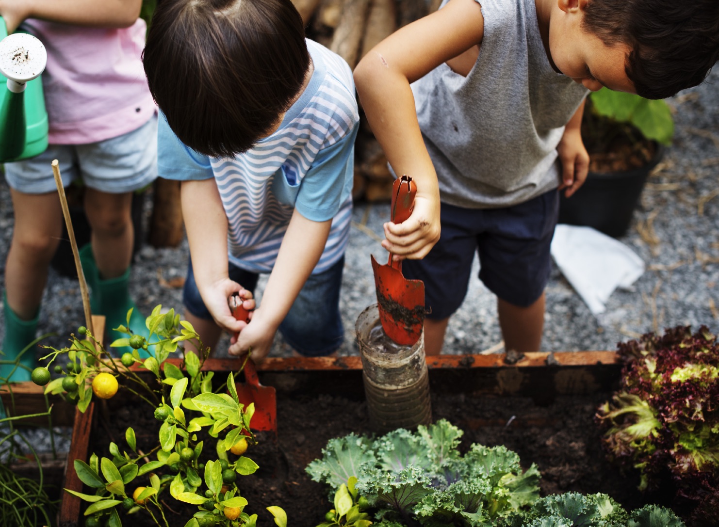 Children learning to garden.